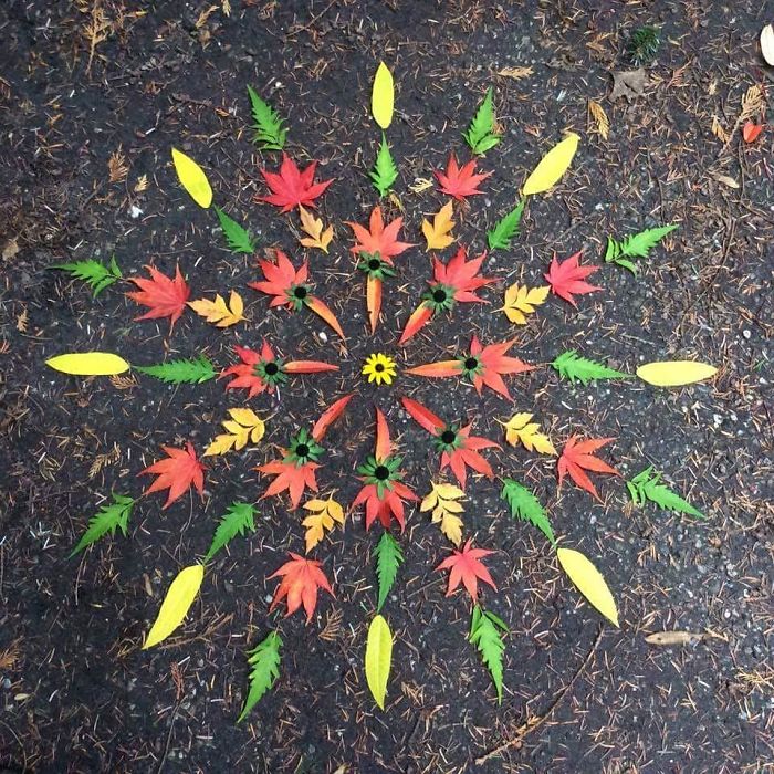 I Create Mandalas From Things I Find In Nature As A Way To Meditate