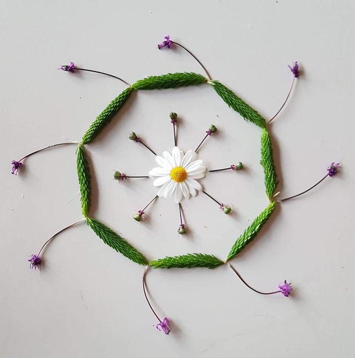I Create Mandalas From Things I Find In Nature As A Way To Meditate
