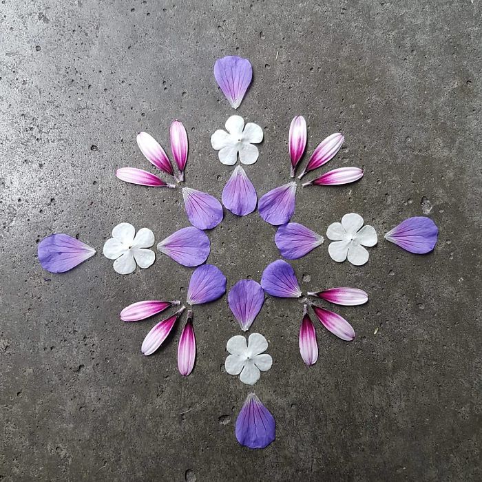 I Create Mandalas From Things I Find In Nature As A Way To Meditate