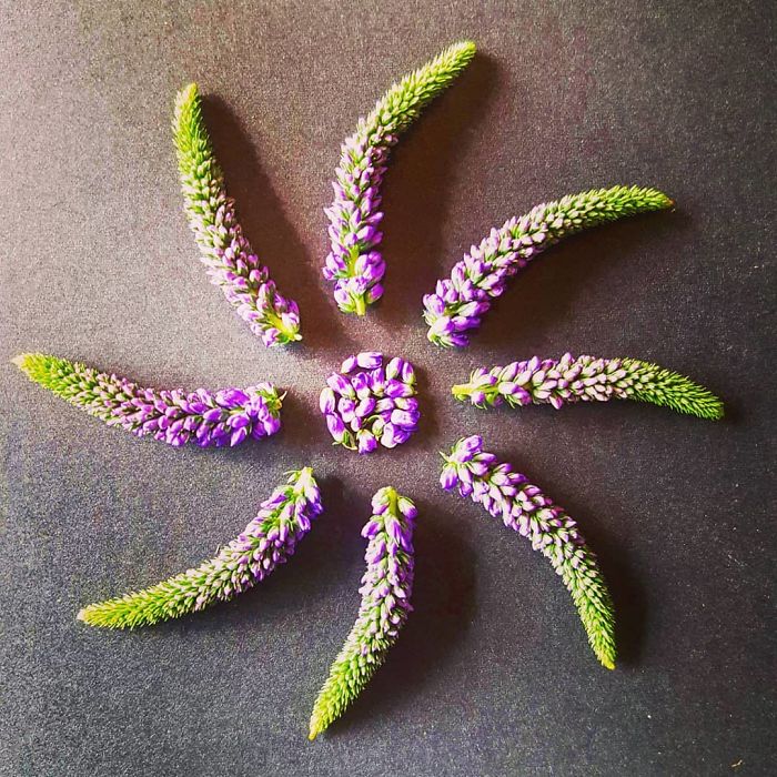 I Create Mandalas From Things I Find In Nature As A Way To Meditate