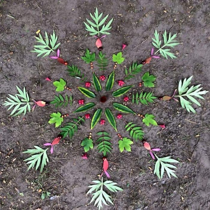 I Create Mandalas From Things I Find In Nature As A Way To Meditate