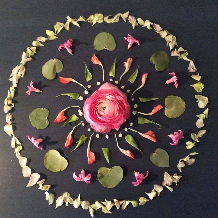 I Create Mandalas From Things I Find In Nature As A Way To Meditate