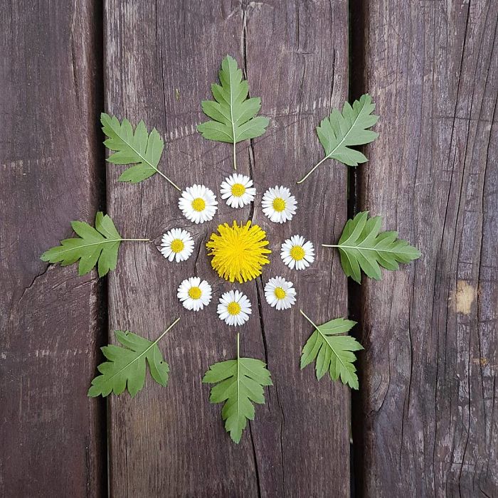 I Create Mandalas From Things I Find In Nature As A Way To Meditate