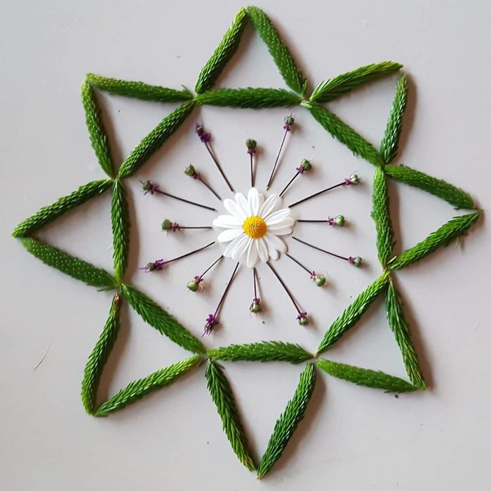 I Create Mandalas From Things I Find In Nature As A Way To Meditate