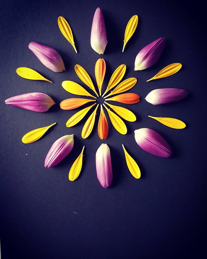 I Create Mandalas From Things I Find In Nature As A Way To Meditate