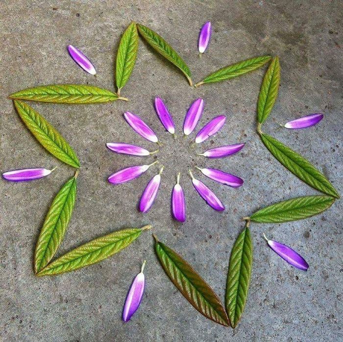 I Create Mandalas From Things I Find In Nature As A Way To Meditate