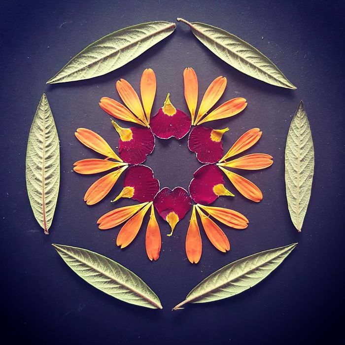 I Create Mandalas From Things I Find In Nature As A Way To Meditate