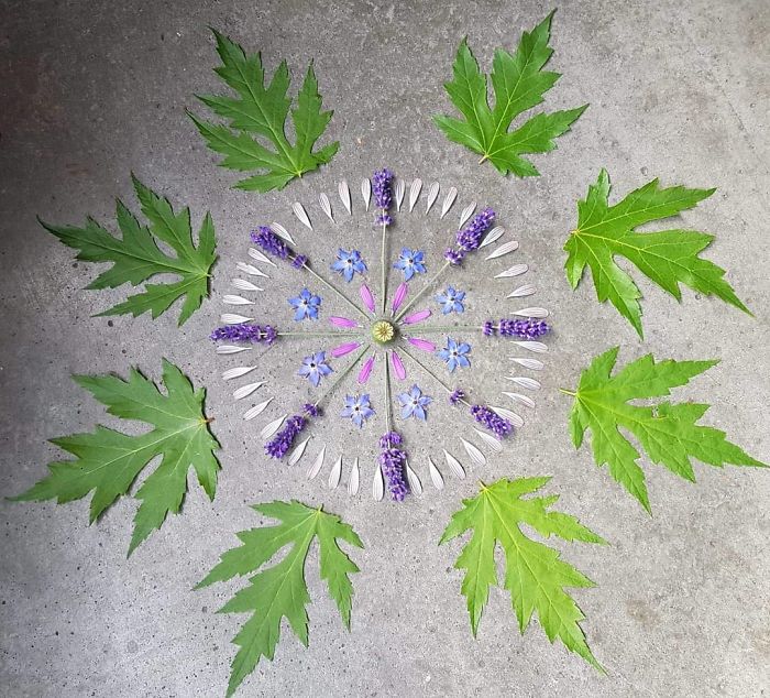 I Create Mandalas From Things I Find In Nature As A Way To Meditate