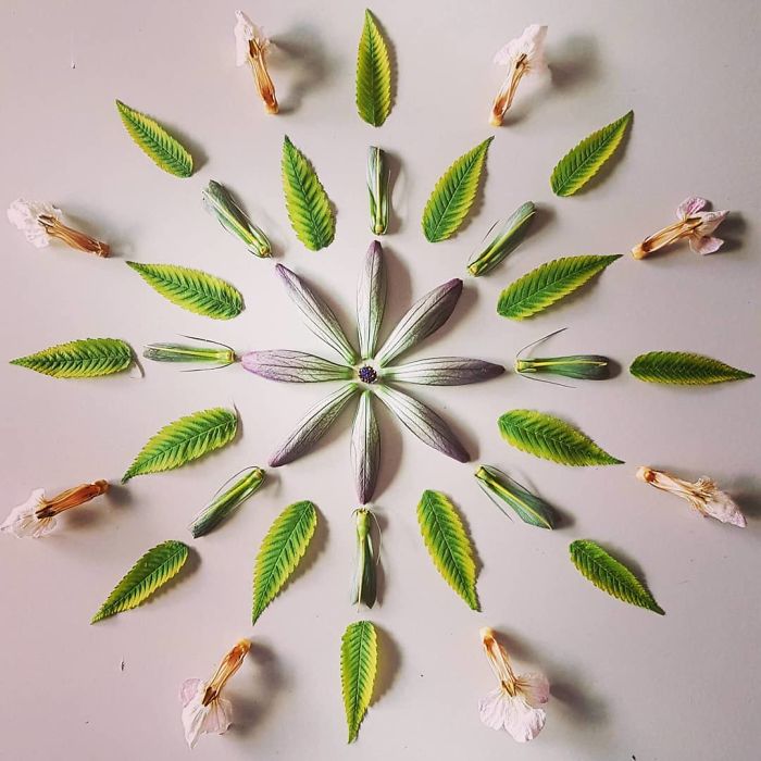 I Create Mandalas From Things I Find In Nature As A Way To Meditate