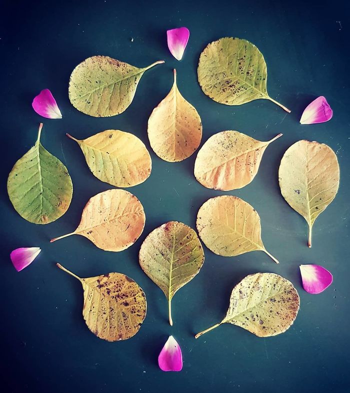 I Create Mandalas From Things I Find In Nature As A Way To Meditate