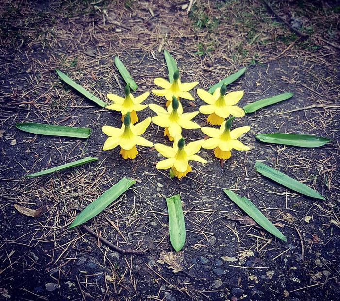 I Create Mandalas From Things I Find In Nature As A Way To Meditate