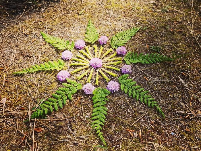 I Create Mandalas From Things I Find In Nature As A Way To Meditate