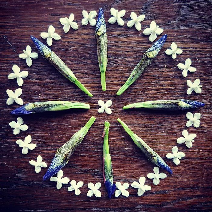 I Create Mandalas From Things I Find In Nature As A Way To Meditate