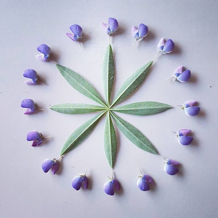 I Create Mandalas From Things I Find In Nature As A Way To Meditate