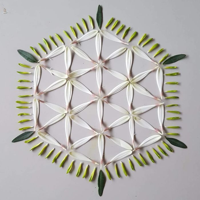 I Create Mandalas From Things I Find In Nature As A Way To Meditate