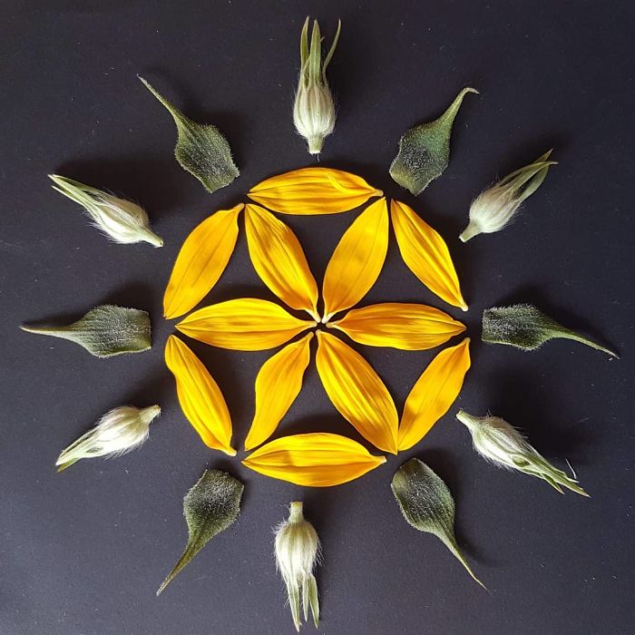 I Create Mandalas From Things I Find In Nature As A Way To Meditate