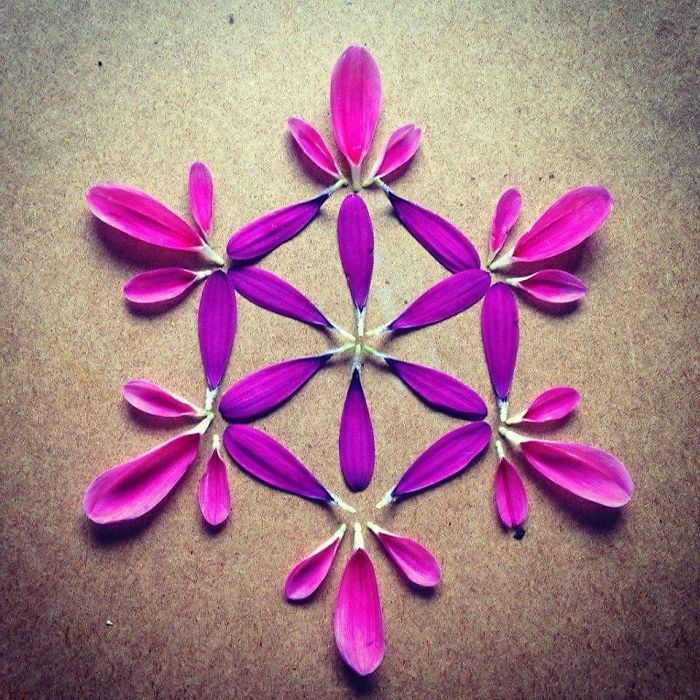 I Create Mandalas From Things I Find In Nature As A Way To Meditate