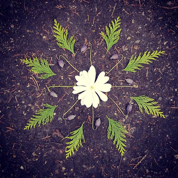 I Create Mandalas From Things I Find In Nature As A Way To Meditate
