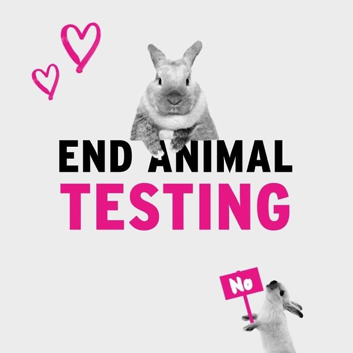 Epic Design Fails You’ll Find Hard To Believe Actually Happened Epic Design Fails You’ll Find Hard To Believe Actually Happened