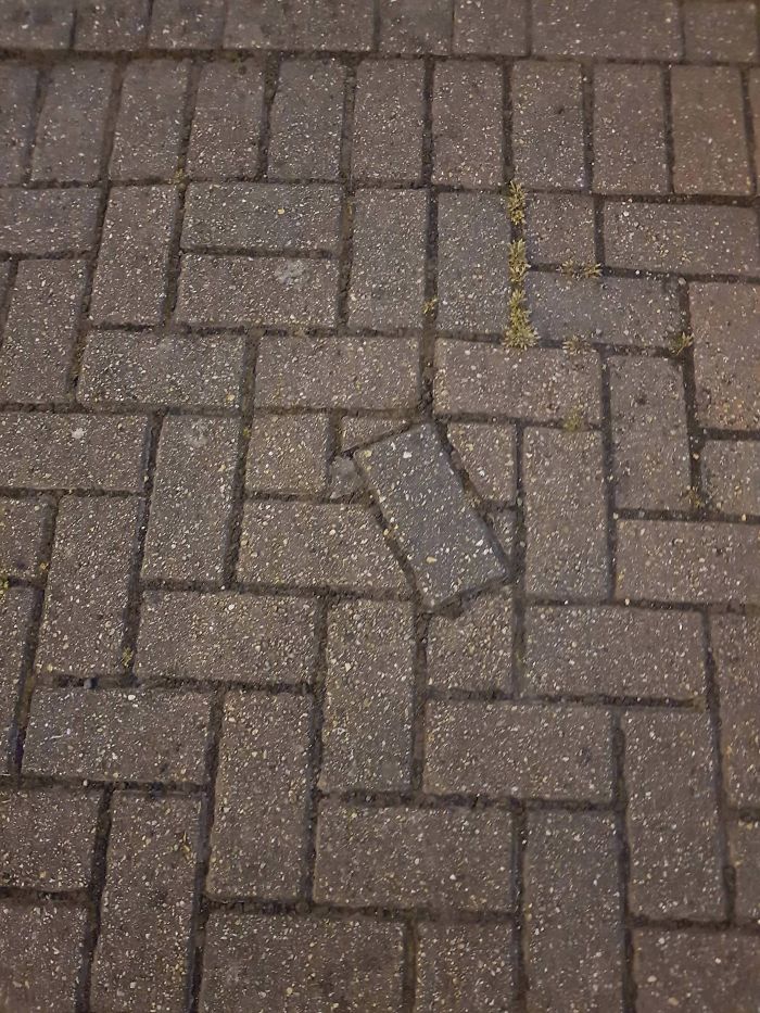 Epic Design Fails You’ll Find Hard To Believe Actually Happened Epic Design Fails You’ll Find Hard To Believe Actually Happened