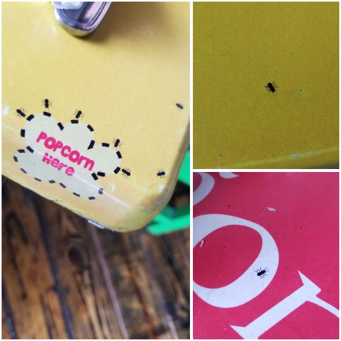 Epic Design Fails You’ll Find Hard To Believe Actually Happened Epic Design Fails You’ll Find Hard To Believe Actually Happened