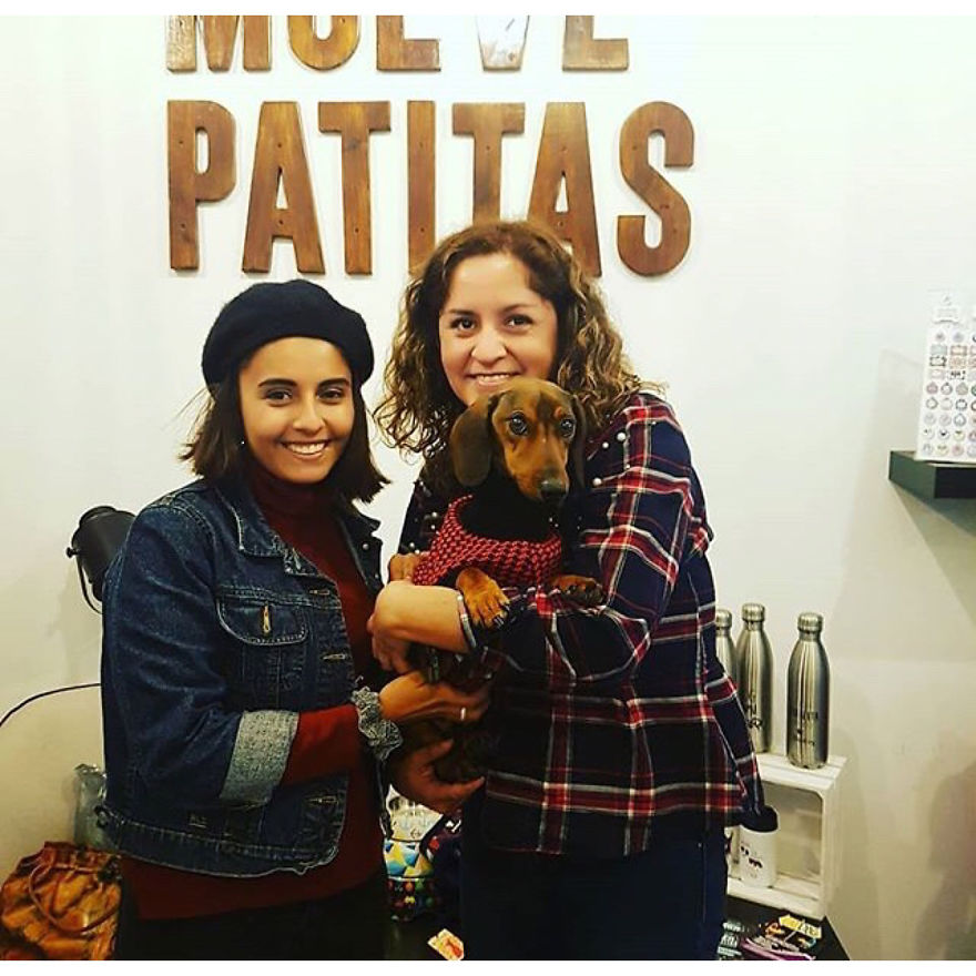 Dog Survives 6 Days In The Desert After Falling Off The Plane Dog Survives 6 Days In The Desert After Falling Off The Plane