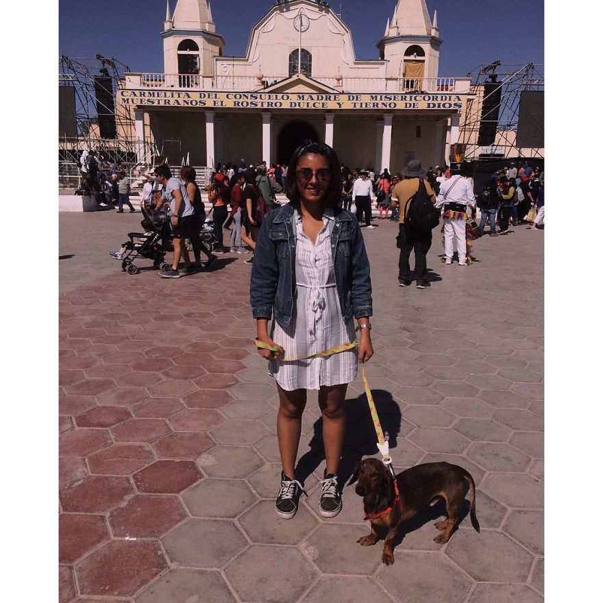 Dog Survives 6 Days In The Desert After Falling Off The Plane Dog Survives 6 Days In The Desert After Falling Off The Plane