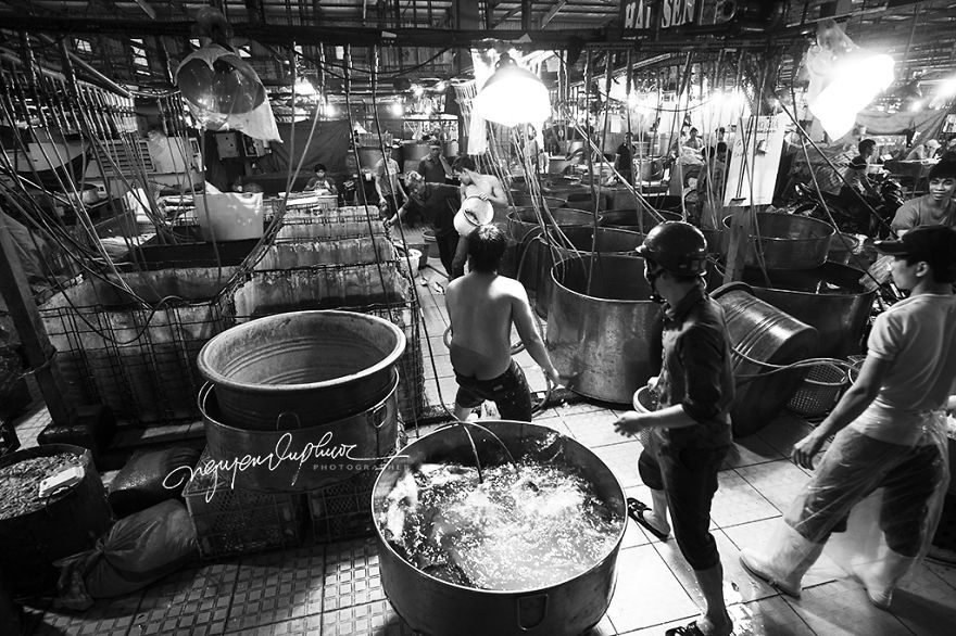 Binh Dien Market: This Is An Interesting Place For Everyday Photography Binh Dien Market: This Is An Interesting Place For Everyday Photography