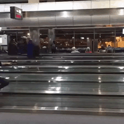 126 Times People Had To Look Twice To Understand What They Were Seeing At The Airport 126 Times People Had To Look Twice To Understand What They Were Seeing At The Airport