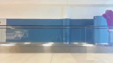 126 Times People Had To Look Twice To Understand What They Were Seeing At The Airport 126 Times People Had To Look Twice To Understand What They Were Seeing At The Airport