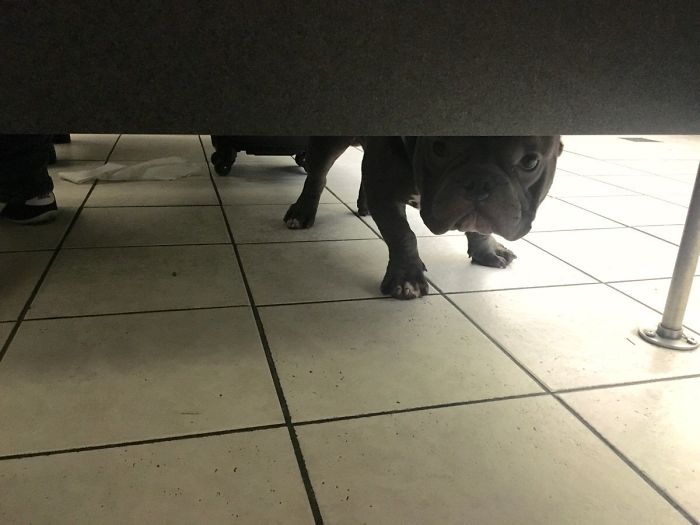 126 Times People Had To Look Twice To Understand What They Were Seeing At The Airport 126 Times People Had To Look Twice To Understand What They Were Seeing At The Airport