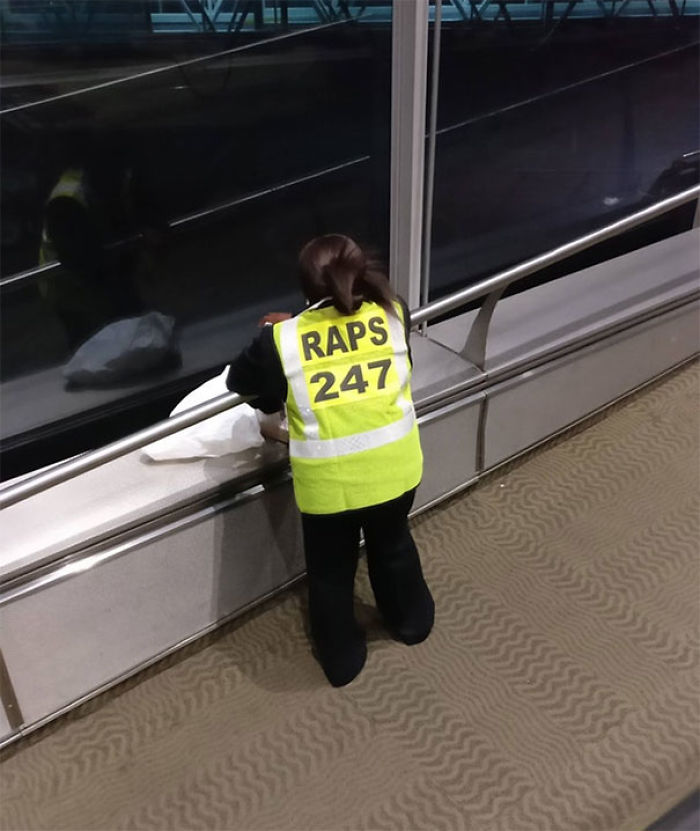 126 Times People Had To Look Twice To Understand What They Were Seeing At The Airport 126 Times People Had To Look Twice To Understand What They Were Seeing At The Airport