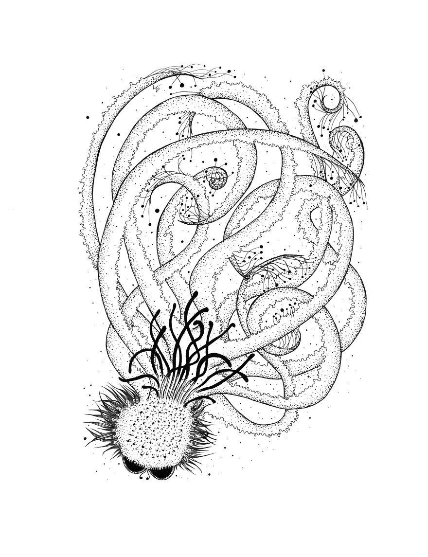 I Create Monsters From Animals Forms I Create Monsters From Animals Forms