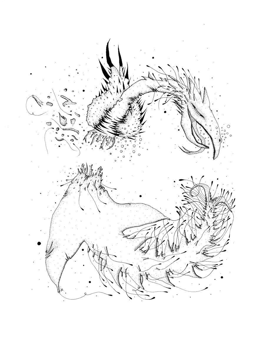 I Create Monsters From Animals Forms I Create Monsters From Animals Forms