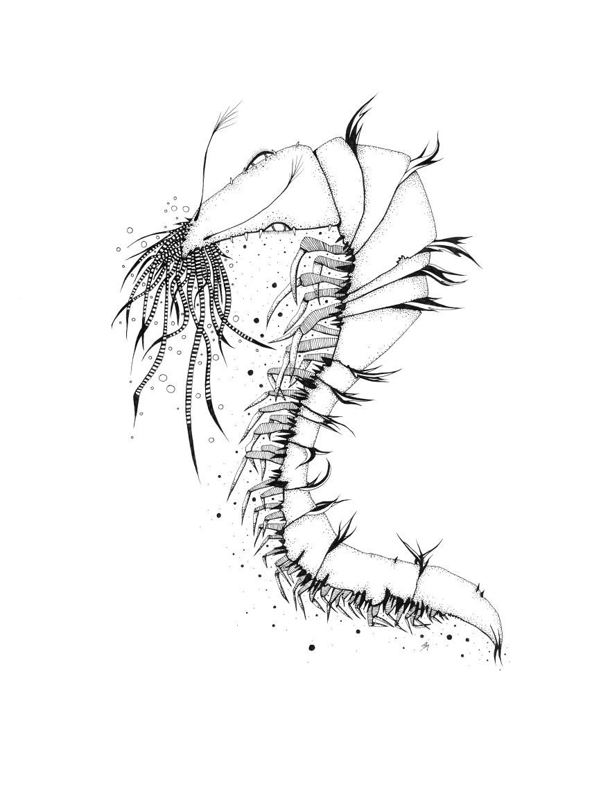 I Create Monsters From Animals Forms I Create Monsters From Animals Forms