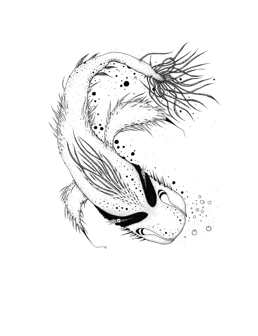 I Create Monsters From Animals Forms I Create Monsters From Animals Forms