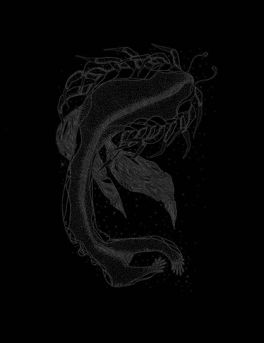 I Create Monsters From Animals Forms I Create Monsters From Animals Forms