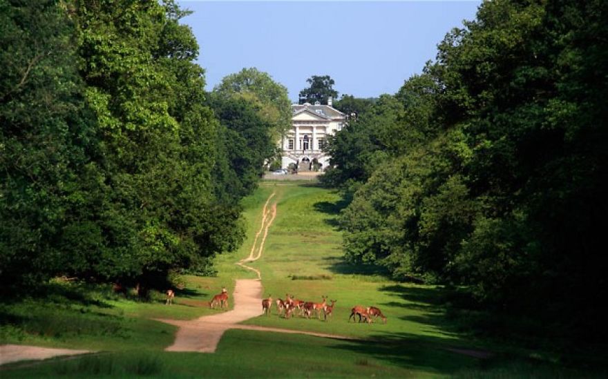 Man &#038; Beast: The Deer Of Richmond Park
