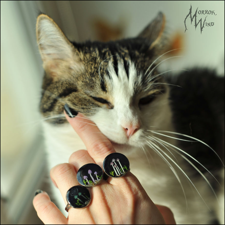 I Want To Show You The Cozy Forest Microcosms, Created By Me I Want To Show You The Cozy Forest Microcosms, Created By Me