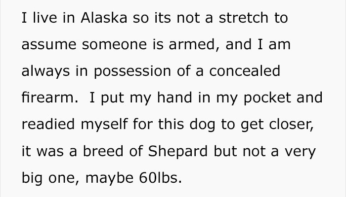 Pizza Guy Sees Dog Running Towards Him At 2AM While Woman Shouts “Shoot Her”, Reaches For His Gun