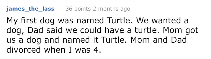 Pizza Guy Sees Dog Running Towards Him At 2AM While Woman Shouts “Shoot Her”, Reaches For His Gun