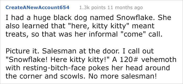Pizza Guy Sees Dog Running Towards Him At 2AM While Woman Shouts “Shoot Her”, Reaches For His Gun