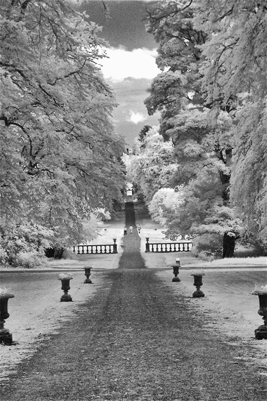 Ir Photography On The Cheap Ir Photography On The Cheap