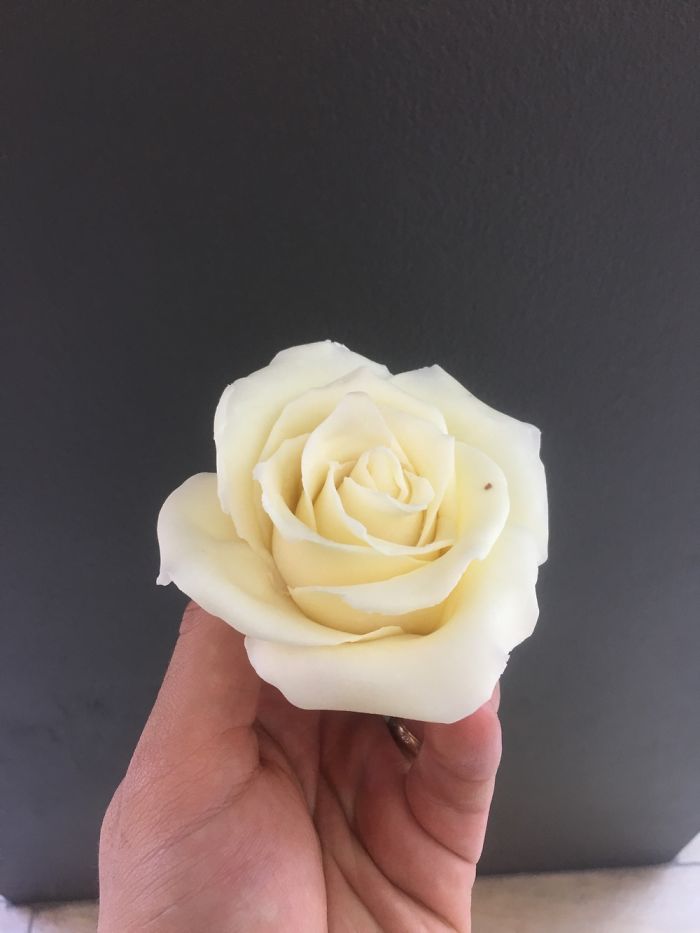 When A Fruit Carver Become A Pastry Chef When A Fruit Carver Become A Pastry Chef