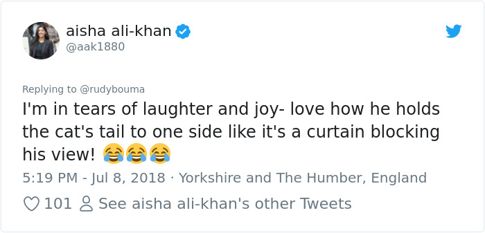 The Way This Polish Academic ‘Reacts’ When Cat Interrupts His Serious Interview Amuses The Internet The Way This Polish Academic ‘Reacts’ When Cat Interrupts His Serious Interview Amuses The Internet