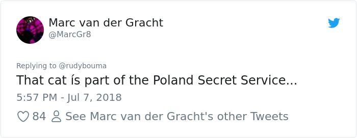 The Way This Polish Academic ‘Reacts’ When Cat Interrupts His Serious Interview Amuses The Internet The Way This Polish Academic ‘Reacts’ When Cat Interrupts His Serious Interview Amuses The Internet