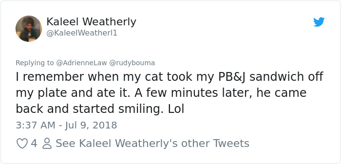 The Way This Polish Academic ‘Reacts’ When Cat Interrupts His Serious Interview Amuses The Internet The Way This Polish Academic ‘Reacts’ When Cat Interrupts His Serious Interview Amuses The Internet