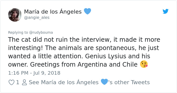 The Way This Polish Academic ‘Reacts’ When Cat Interrupts His Serious Interview Amuses The Internet The Way This Polish Academic ‘Reacts’ When Cat Interrupts His Serious Interview Amuses The Internet