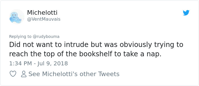 The Way This Polish Academic ‘Reacts’ When Cat Interrupts His Serious Interview Amuses The Internet The Way This Polish Academic ‘Reacts’ When Cat Interrupts His Serious Interview Amuses The Internet