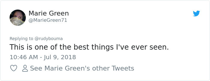 The Way This Polish Academic ‘Reacts’ When Cat Interrupts His Serious Interview Amuses The Internet The Way This Polish Academic ‘Reacts’ When Cat Interrupts His Serious Interview Amuses The Internet